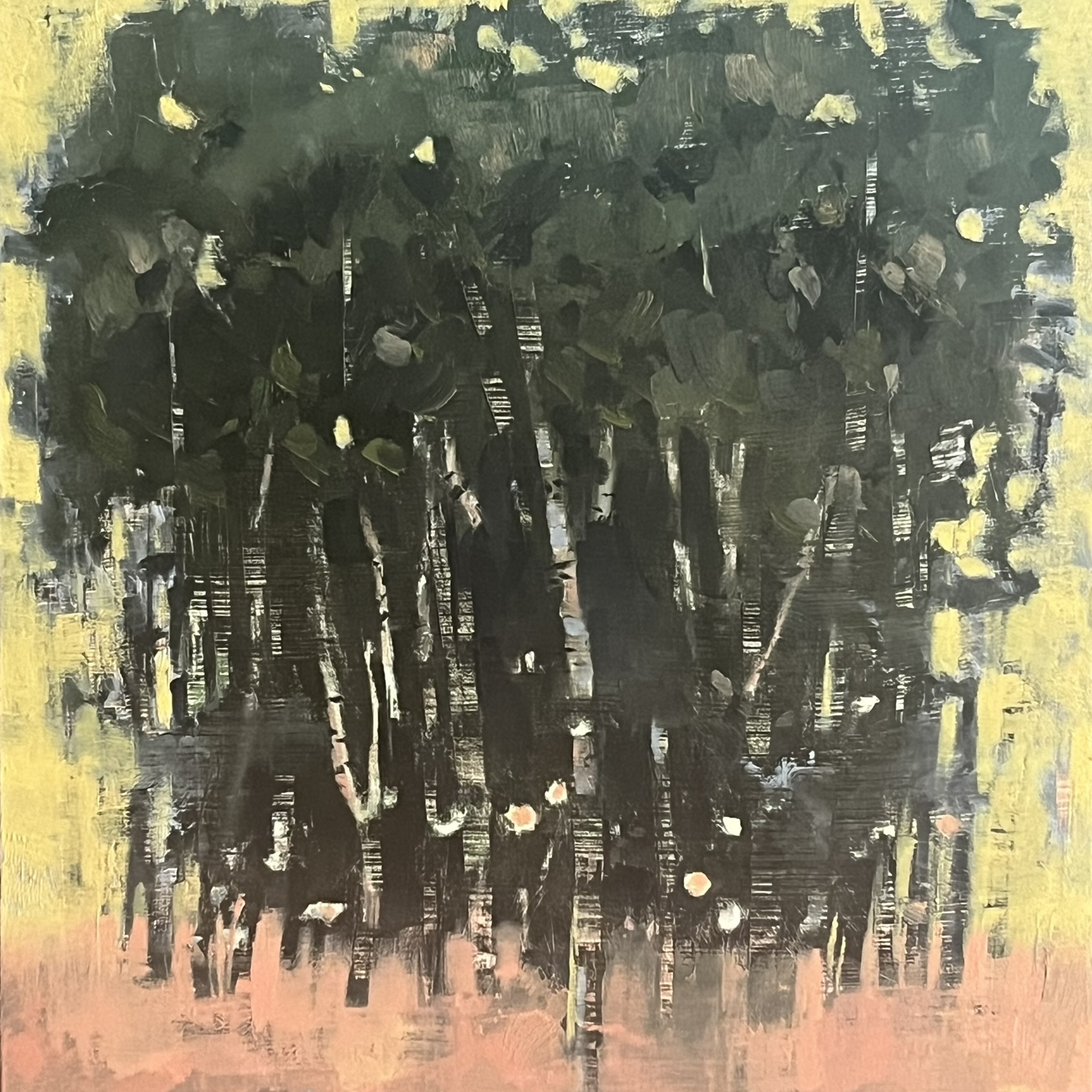 Young Birch Trees